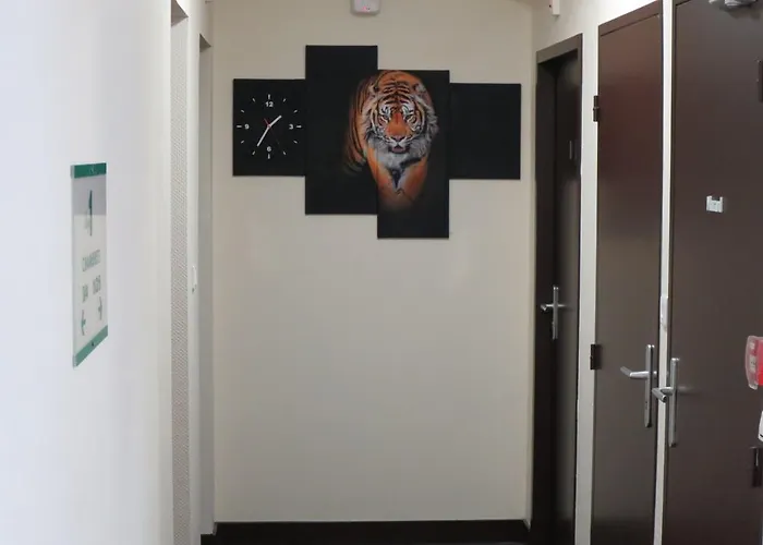 De La Paix فندق كان